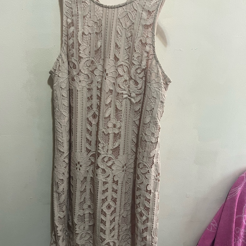 Elegant Beige Lace Dress